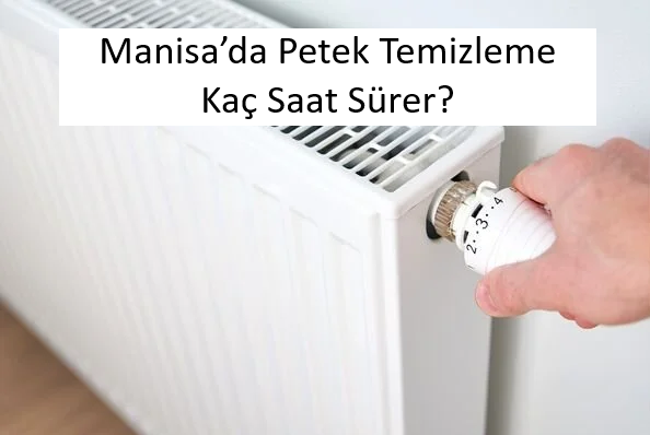Manisa’da Petek Temizleme Kaç Saat Sürer